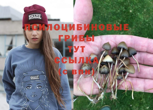 кокс Абинск