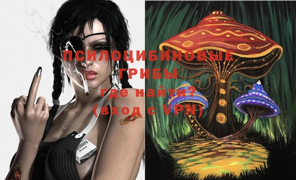 стафф Абаза