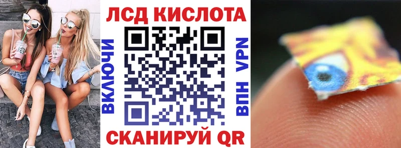 купить наркоту  Шахунья  Наркотические марки 1,8мг 