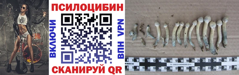 Галлюциногенные грибы прущие грибы  ОМГ ОМГ онион  Шахунья 
